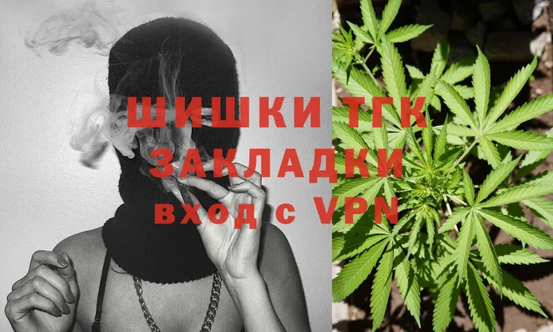 mega вход  Андреаполь  Марихуана SATIVA & INDICA  купить  цена 